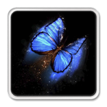 Flutter butterfly lwp