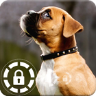 Boxer Puppy Little Pretty Dog Lock Screen icon