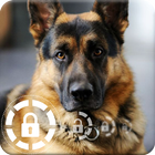 German Shepherd Nice Dog QHD Wallpaper Lock Screen icône