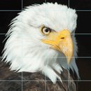 Tiles Puzzles-25 Tiles Puzzles APK