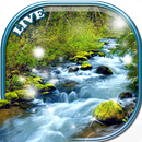 River Live Wallpaper 💧 Animated Images Gif APK