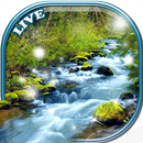 Fluss Hintergrundbilder 💧 Live Hintergründe APK