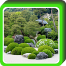 Rock Garden Design APK