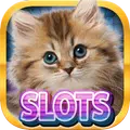 Casino Kitty Slot Machines