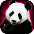 Слоты Лаки Panda казино слоты APK