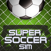Super Soccer Sim