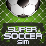 Super Soccer Sim icon