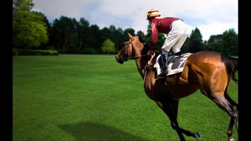 1 Schermata Horse Racing. Sport Wallpapers