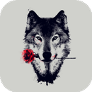 Wolf. Top Rated Wallpapers APK