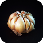 Garlic. Nature Wallpapers-icoon