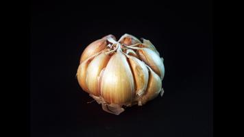 Garlic. Nature Wallpapers Affiche