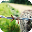 ”Barbed Wire Wallpaper