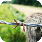 Barbed Wire Wallpaper ikona