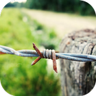 Icona Barbed Wire Wallpaper