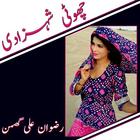 Choti Shehzadi Story icon