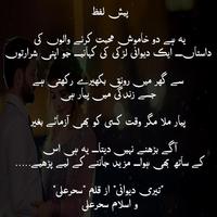 Teri Deewani - Urdu Romantic الملصق