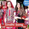 Sindhi Songs 👌