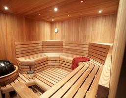 Room Sauna Design screenshot 3