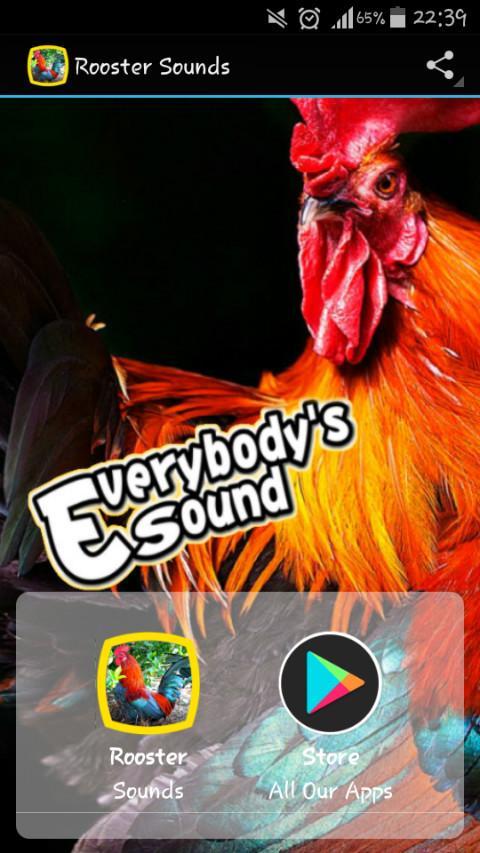 Аудио петухов. Андроид для петухов. Звук петуха. Rooster Sounds. Звуки игры петух.