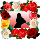 Rosa Flor Molduras ícone