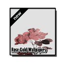 Rose Gold Wallpapers APK