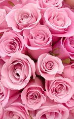 Rose Hintergrund APK Herunterladen