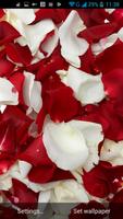 Rose Petals Live Wallpaper স্ক্রিনশট 3
