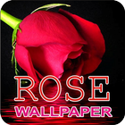 Rose Wallpaper آئیکن