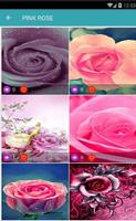 Rose Wallpaper اسکرین شاٹ 3