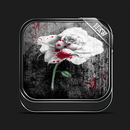 Rose Wallpaper-APK