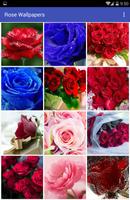 Rose Wallpapers पोस्टर