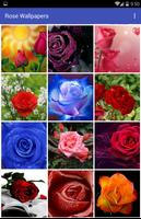 Rose Wallpapers स्क्रीनशॉट 1