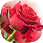 Roses Live Wallpaper আইকন