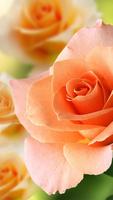 玫瑰動態桌布 – 美麗背景圖片 截圖 3