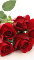 Roses Live Wallpaper اسکرین شاٹ 2