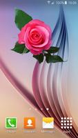 Rose Flower Gif Affiche