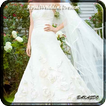 Royal Wedding Dresses