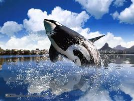 Orca Live Wallpapers скриншот 2