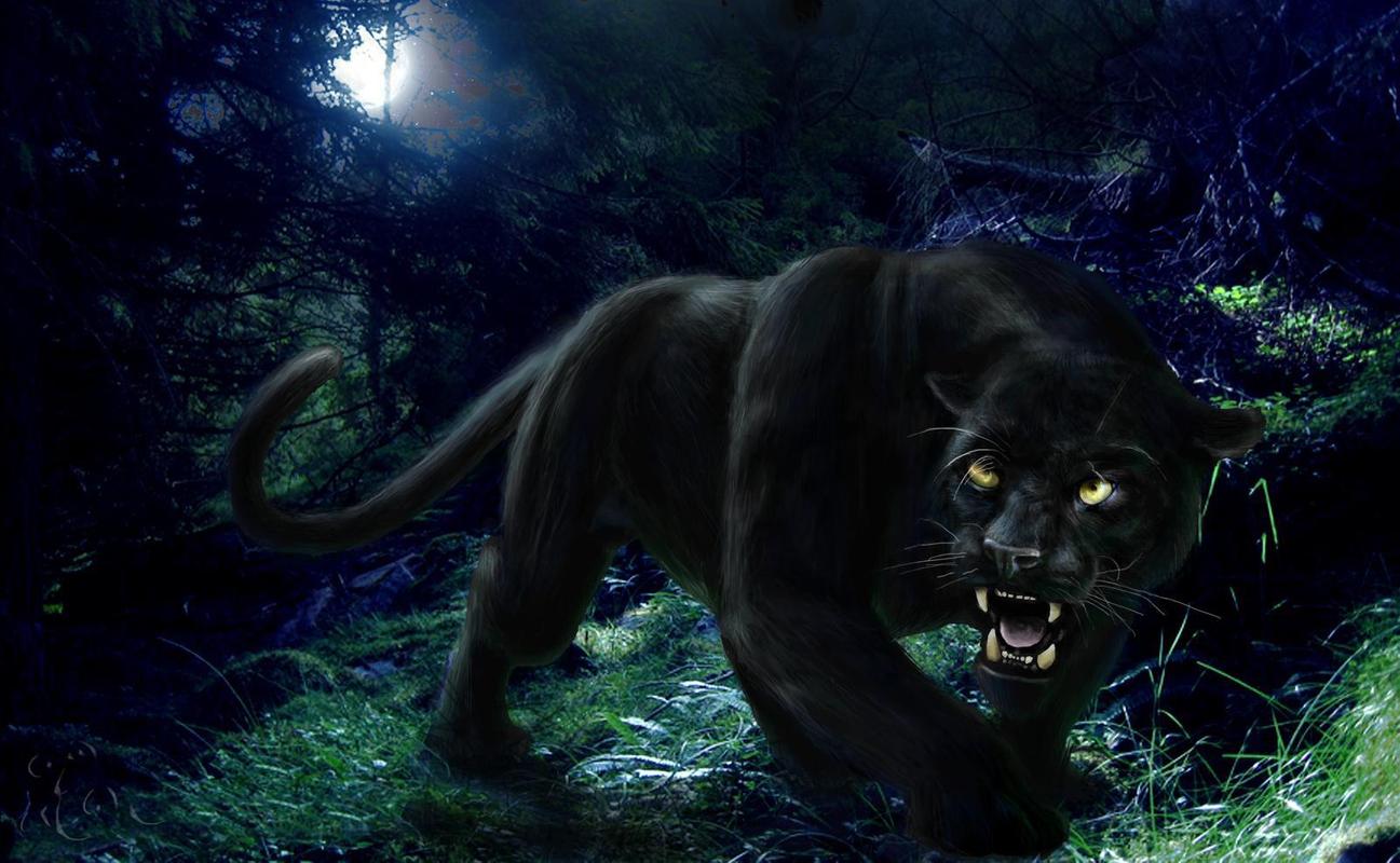 Black Panther Live Wallpaper | Gasebo Wallpaper