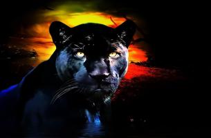 Black Panther Live Wallpaper স্ক্রিনশট 3