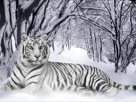 White Tiger Live Wallpaper تصوير الشاشة 2