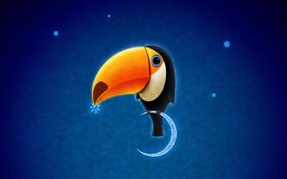 Toucan Bird Live Wallpapers screenshot 2