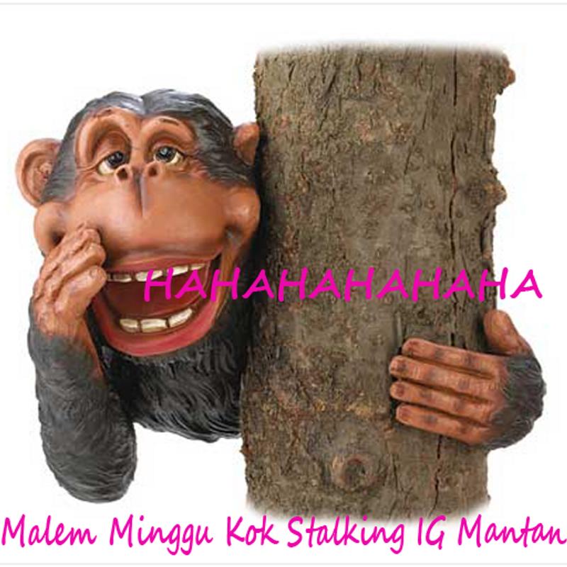 Com Statusfbperanggambarlucudangokil Dfyapp