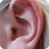 Ear Infection Home Remedies simgesi