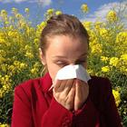 Home Remedy for Allergy أيقونة