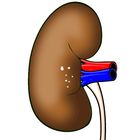Kidney Stones Removal Remedies icône