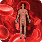 Anemia Home Remedies أيقونة