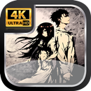 Steins Gate Wallpaper APK