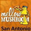 Mellow Mushroom San Antonio