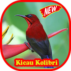 ikon Kicau Kolibri Merah HD